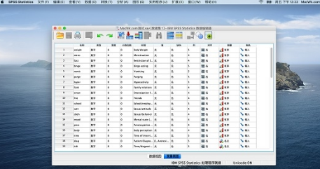 IBM SPSS Statistics Mac screenshot