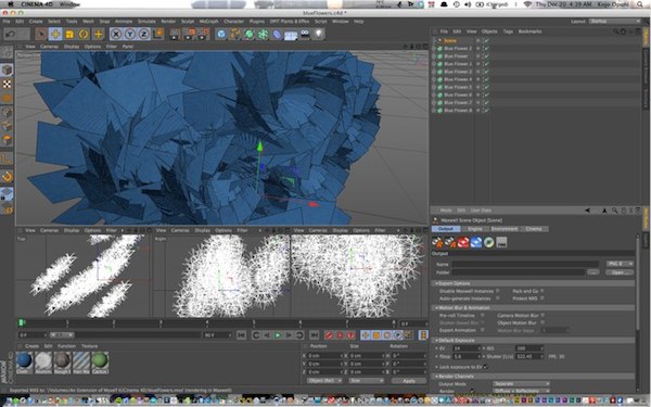 Cinema 4D Mac screenshots