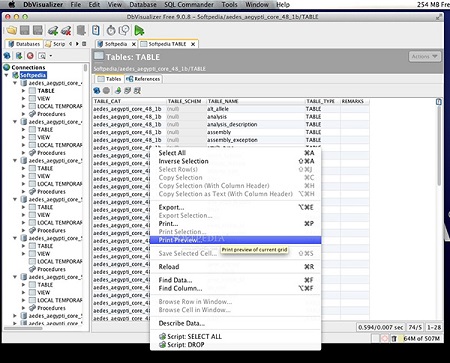 DbVisualizer Pro Mac screenshots
