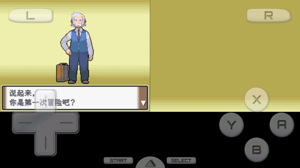 Pokemon Platinum Screenshot