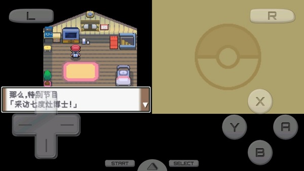 Pokemon Platinum Screenshot