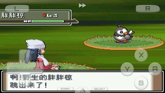 Pokemon Platinum Screenshot