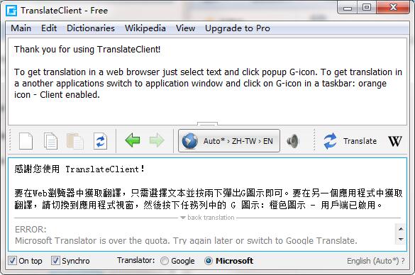 Google Translation Screenshot