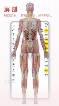 3DBody Anatomy PC version screenshots