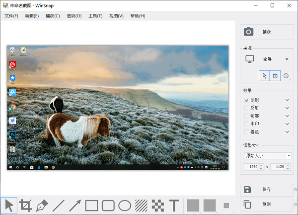 WinSnap (64-bit) screenshot