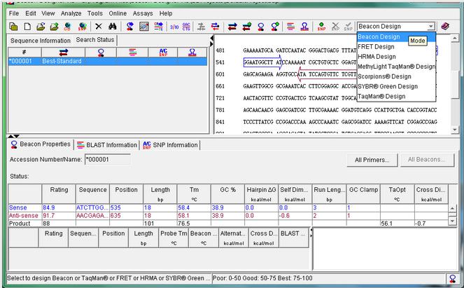 Beacon Designer screenshot