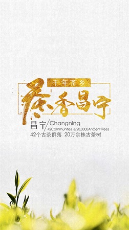 Screenshot of Tea Fragrance Changning