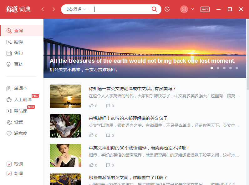 NetEase Youdao Dictionary XP version screenshot