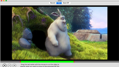 Giffer Mac screenshot