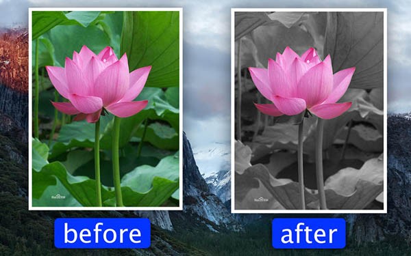 Photo Focus Mac screenshots