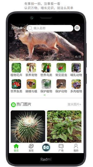 Screenshot of Wanwu Toutiao