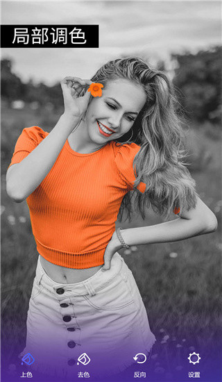 Screenshot of P picture master