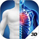 3D Human Anatomy Atlas