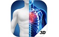 3D Human Anatomy Atlas Section First Logo