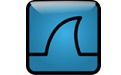 Wireshark section head logo