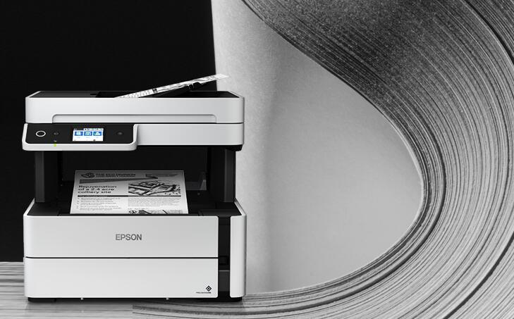 Epson driver screenshot