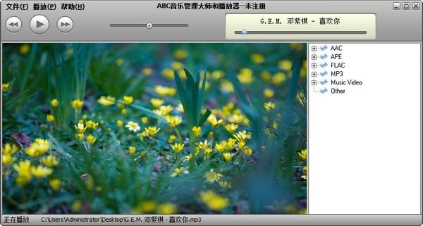 Screenshot of ABC Music Management Master