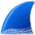 Wireshark