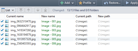 Gillmeister Rename Expert screenshot