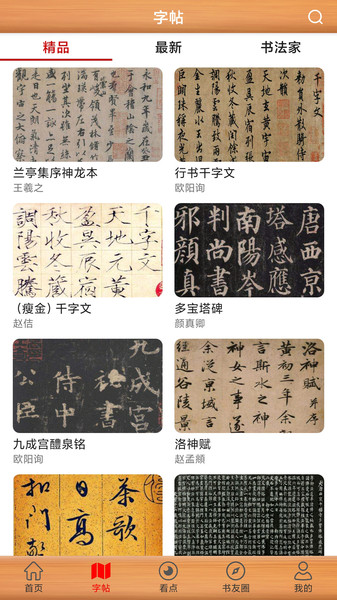 Screenshot of calligraphy practice tool