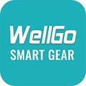 WellGo bracelet