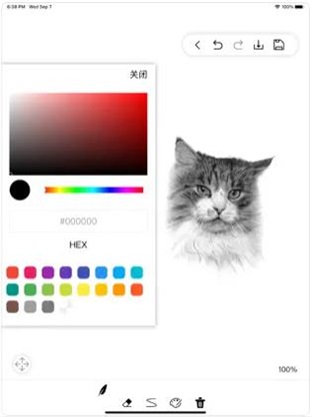 Screenshots of the computer version of drawing software