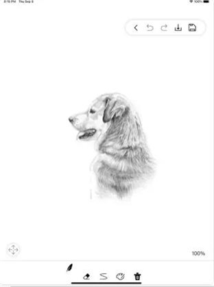 Screenshots of the computer version of drawing software