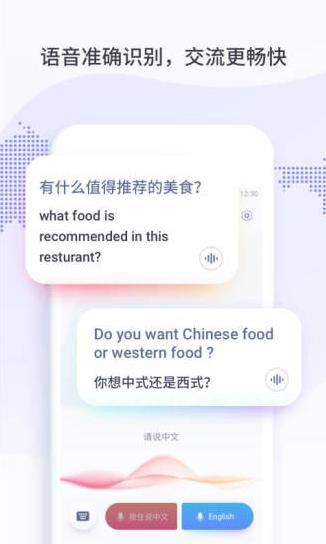 Xiaobao Translator
