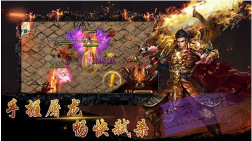 Screenshot of Legend of Dragon Warrior: Infinite Peak