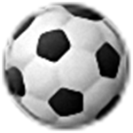 SoftPerfect Network Scanner segment first LOGO