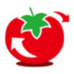 Big Tomato one-click reinstall system segment first LOGO