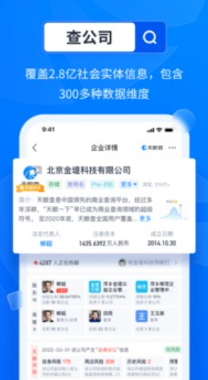 Screenshot of Tianyancha enterprise inquiry system