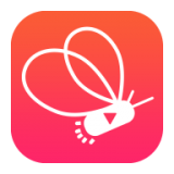 Firefly Live Computer Version