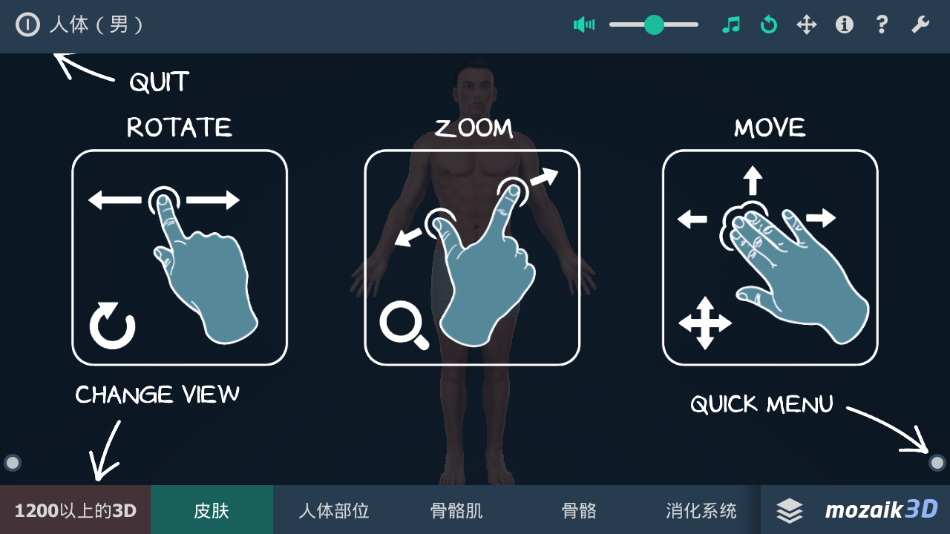 Three-dimensional whole body anatomy simulation