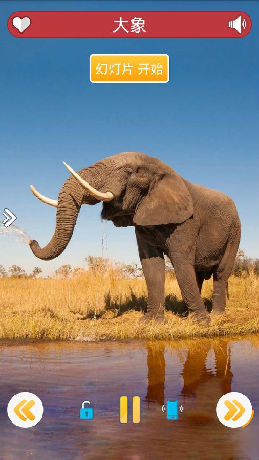 So many cute computer version screenshots