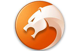 Cheetah secure browser segment first LOGO