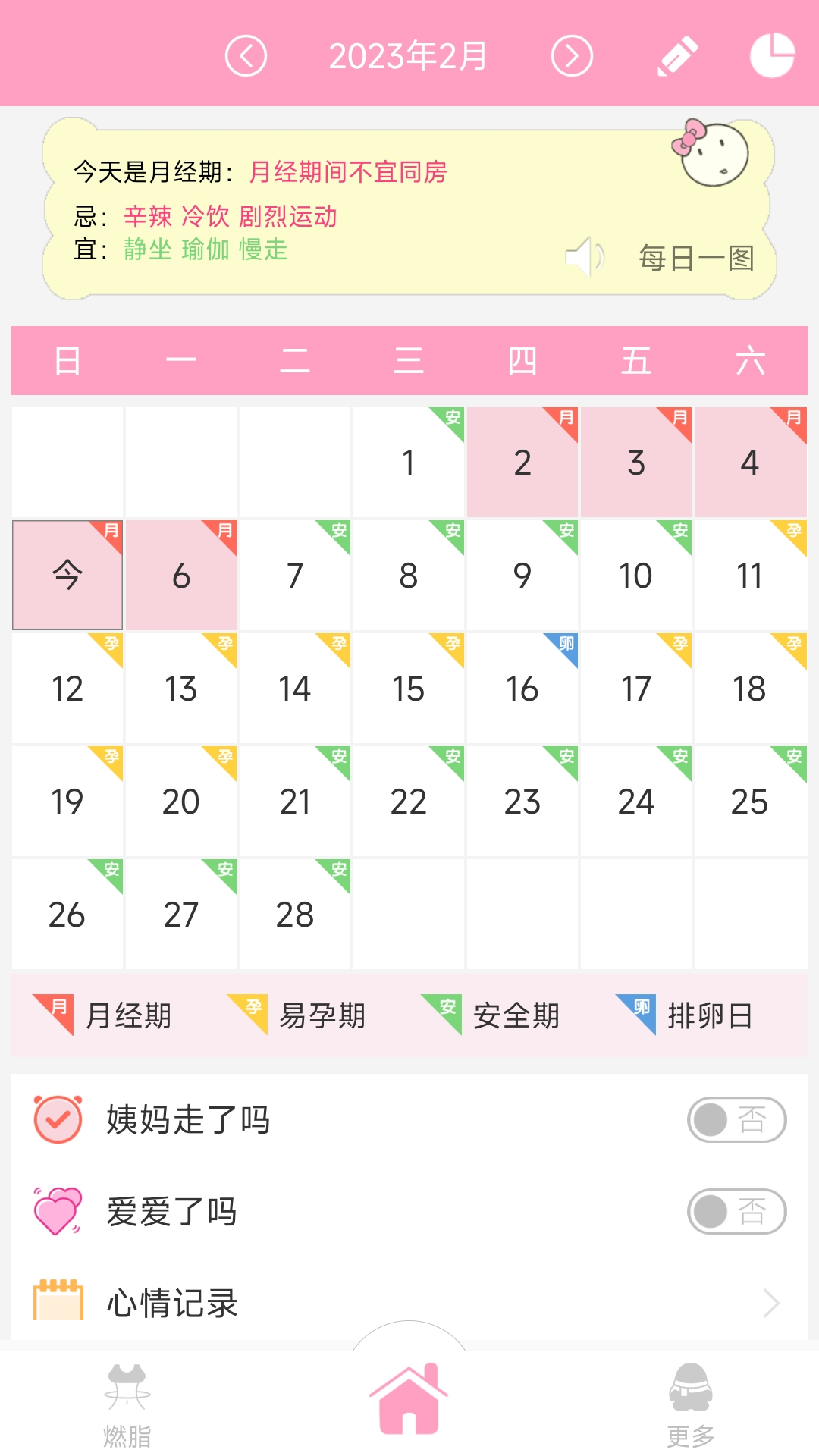 Screenshot of Menstrual Safe Period Manager