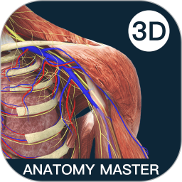 Anatomy Master