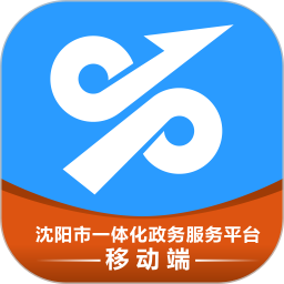 Shenyang Government Services