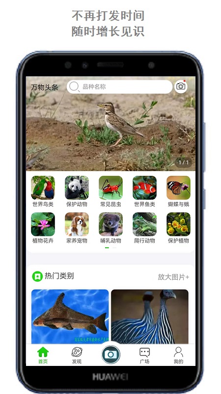 Screenshot of Wanwu Toutiao