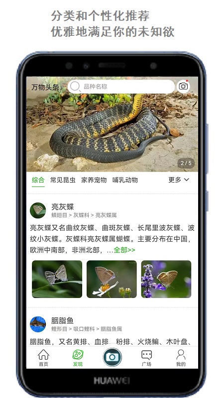 Screenshot of Wanwu Toutiao