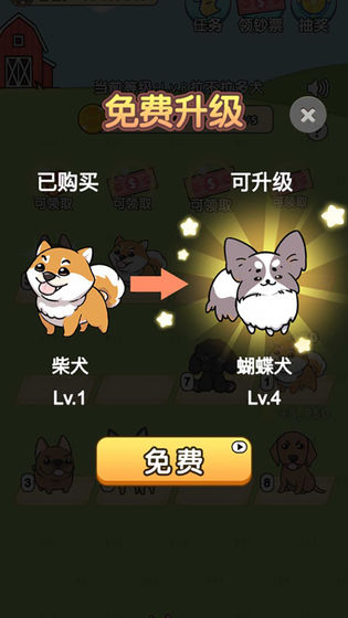 Screenshot of my dog