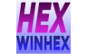 Winhex section head logo