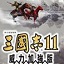 Three Kingdoms 11 Power Enhanced Edition