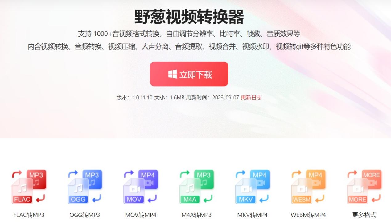 Screenshot of Wild Onion Video Converter