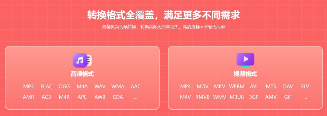 Screenshot of Wild Onion Video Converter