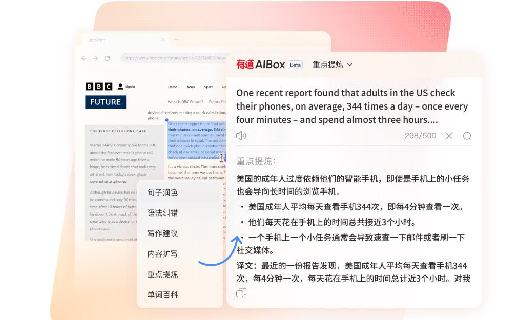 NetEase Youdao Dictionary XP version screenshot