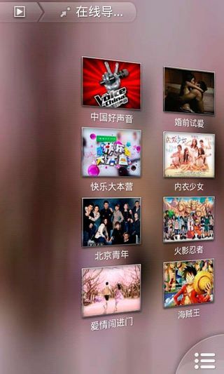 Video player screenshot