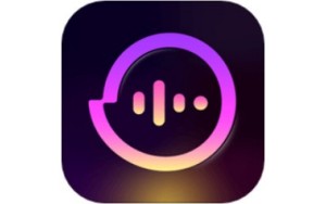 Fish ear voice segment first LOGO