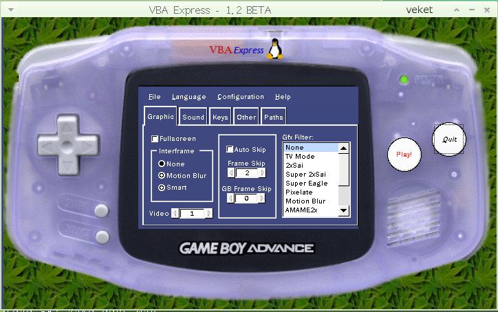 Screenshot of VisualBoyAdvance simulator